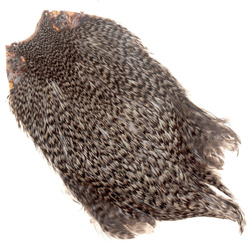 FFGene India Cock Cape Class Top