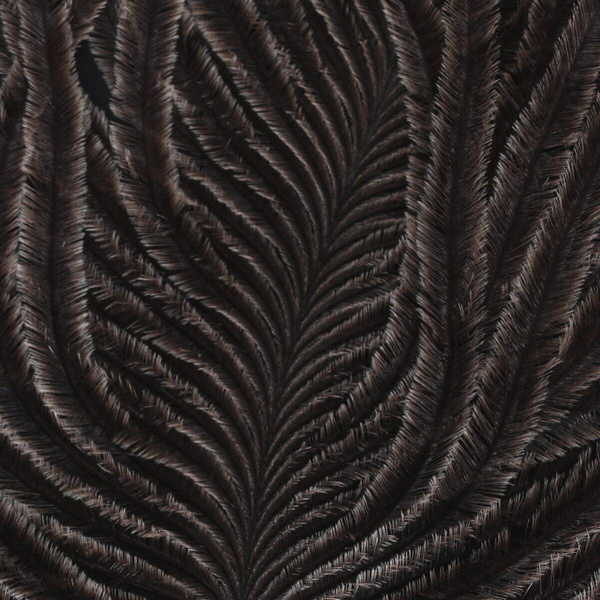 Hareline stručio plunksnų šereliai