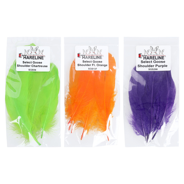 Hareline valitud hane õlasuled