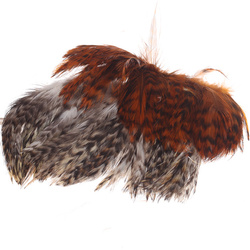 Hareline Grizzly Variant Neck Hackle