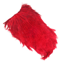 FFGene India ヘン・サドル(染色)
