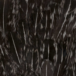 FFGene India Hen Speckled Saddles