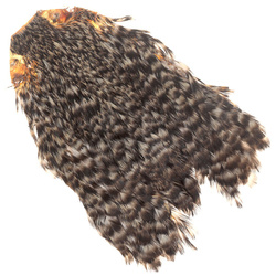 FFGene India 母鸡颈羽皮
