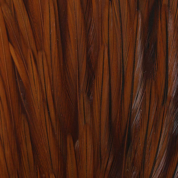 FFGene India Cock Saddles