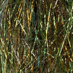 Sybai Magnum Sparkle Dubbing