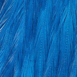 Wapsi Chinese Streamer Rooster Neck