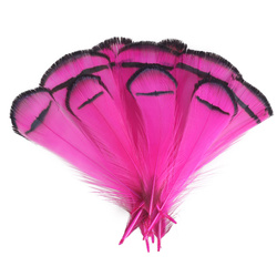 FFGene Tippets de faisão-diamante (Lady Amherst)