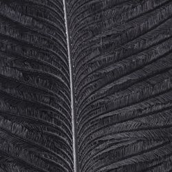 Hareline Ostrich Herl