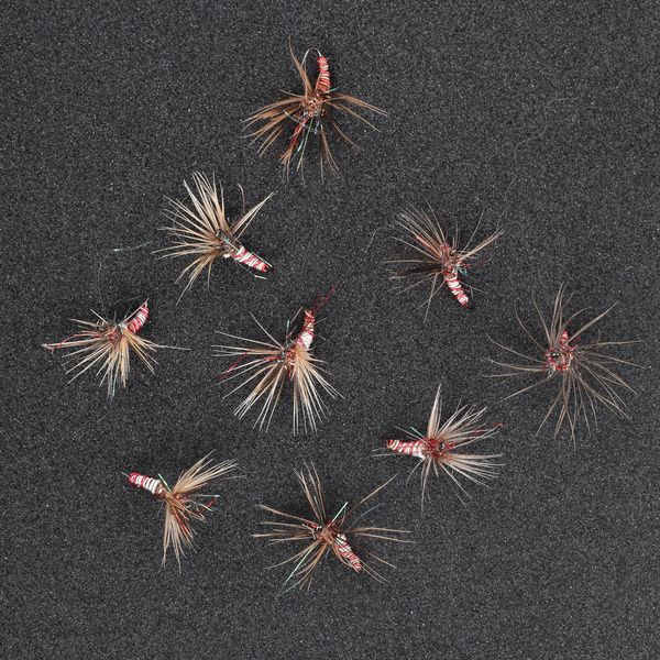 Red and White Spider