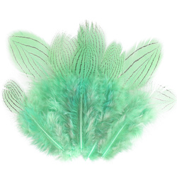 FFGene Silver Pheasant Feathers