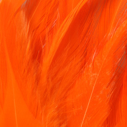 FFGene svázaná sedlová pírka na ježinky