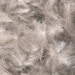 CDC-Federn FFGene Premium – Natural 1 gram