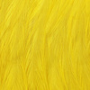 #2 - Dyed Yellow