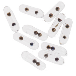 Wapsi Pyrex Fly Rattles