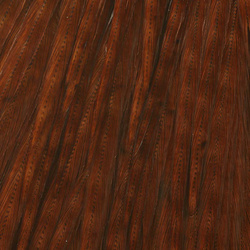 Ewing Top Capes Dyed