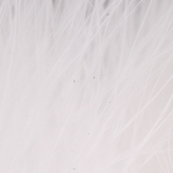 FFGene Wooly Bugger pera marabu (Blood Quill) (7–10 cm cm)