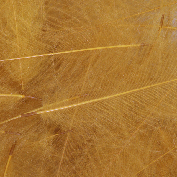 FFGene CDC Feathers color 1 gr