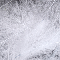 FFGene CDC Feathers Natural Colors Selected One by One