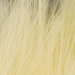 FFGene XXL-maraboufjädrar (Blood Quill) (+15 cm)