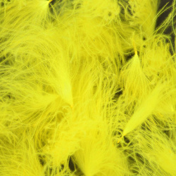 Wapsi CDC пухчета
