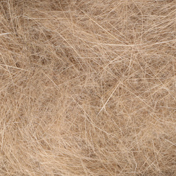 FFGene Rabbit Dubbing