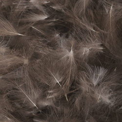 FFGene CDC Premium - Natural 1 gram