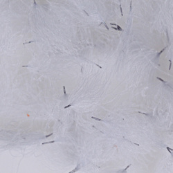 Hareline CDC Oiler Puffs