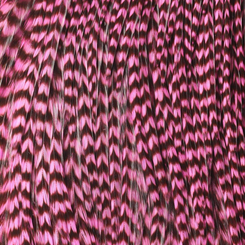 Grizzly Hot Pink