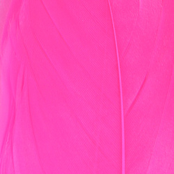 Hareline Select Goose Shoulder