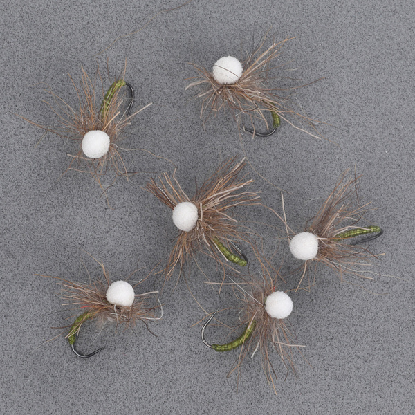 Emerging Dreake Fom Wings MayFly