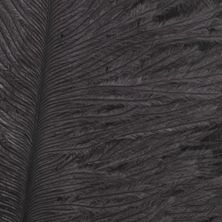 Wapsi Ostrich Marabou