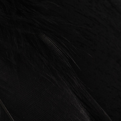 Wapsi Goose Shoulders