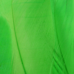 FFGene Goose Shoulders