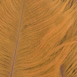 Wapsi Ostrich Marabou