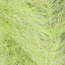 와이어 코어 스트리머 브러시 H2O Flash Blend Baitfish Brush 1 inch (flash)