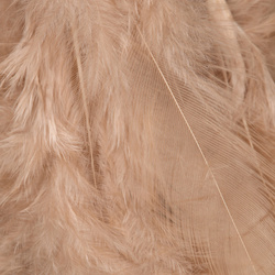 Wapsi White Matuka minkšto hakelio plunksnos
