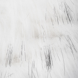 FFGene Raccon Furabou