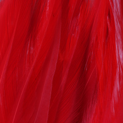 FFGene Strung Saddles Hackle