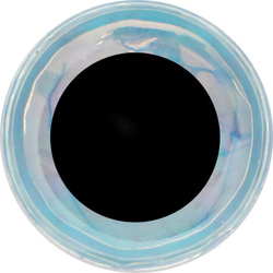 Perhonsidontasilmät FFGene Soft 3D- Eyes