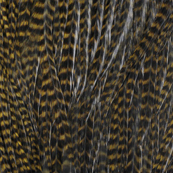 Ewing Grizzly Whole Saddles