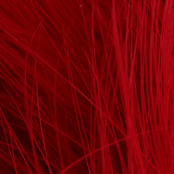FFGene Extra Large Marabou (Blood Quill) (12-15cm)