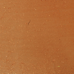 Hareline Thin Crystal Skin