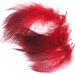 Wapsi Teal Barred Flank