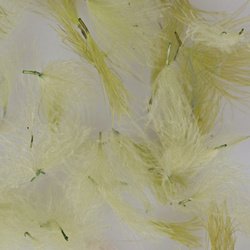 Hareline CDC Oiler Puffs