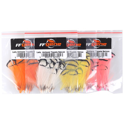 FFGene Lady  Amherst Tippets