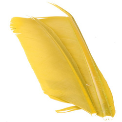 Spirit River UV2 bioturi din pene de curcan