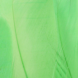 FFGene Goose Shoulders