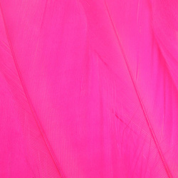 FFGene Goose Shoulders