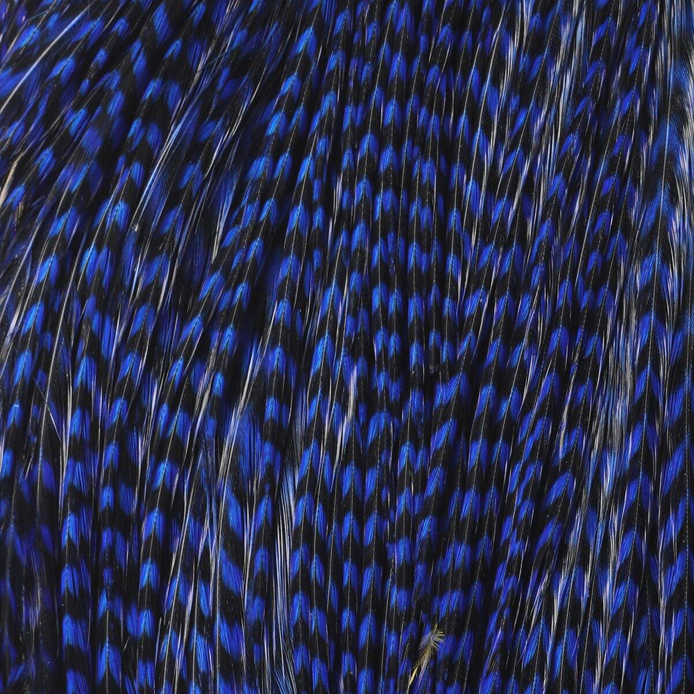 Grizzly Blue