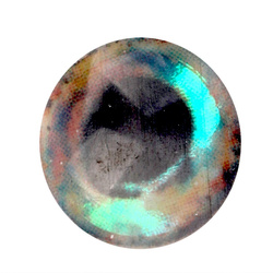 Perhonsidontasilmät H2O Lightweight Rainbow Dumbells